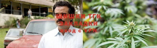 шишки Алексин