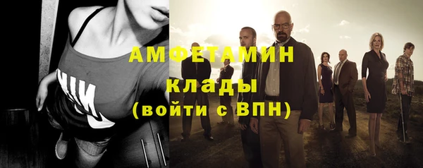 шишки Алексин