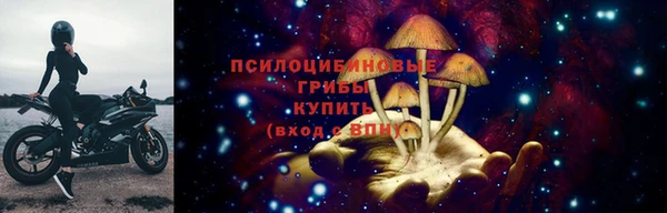 мяу мяу мука Нязепетровск