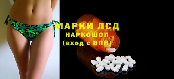 ПСИЛОЦИБИНОВЫЕ ГРИБЫ Няндома