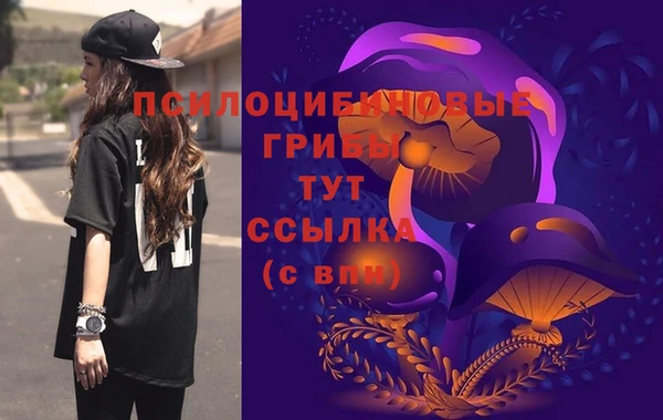 шишки Алексин