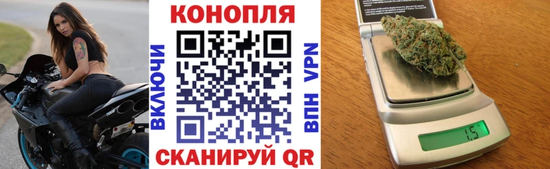 цены Ленинск Канабис семена